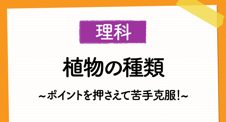 高校入試 理科の 植物の種類 って ポイントを押さえて苦手克服 高校入試徹底対策ガイド