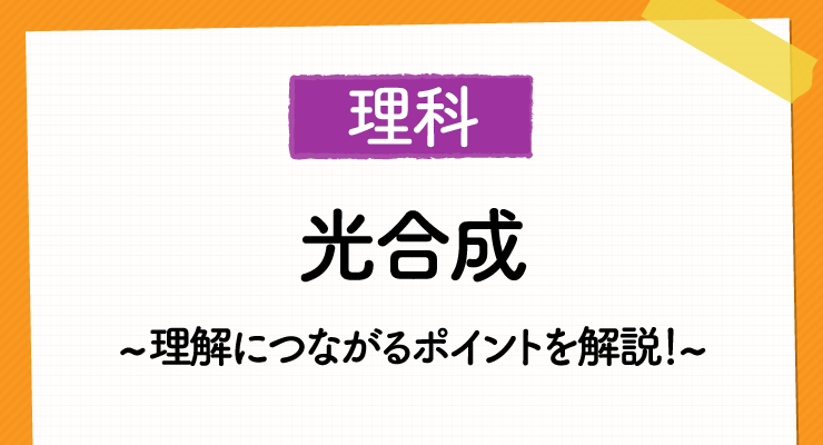 高校入試 理科の 光合成 って何 図解で理解につながるポイントをすべて伝えます 高校入試徹底対策ガイド